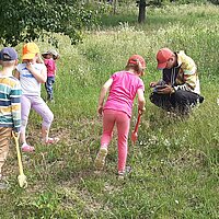 Wald- und Wiesenwochen